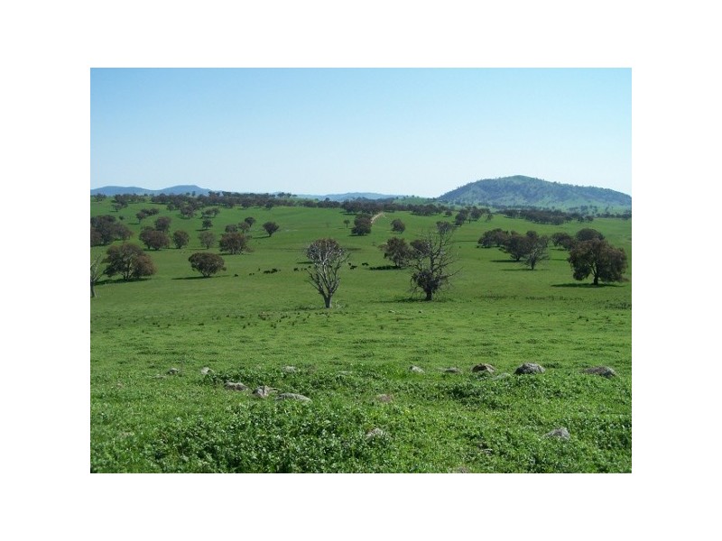 “The Poplars” 14 Wee Jasper Road, Wyangle NSW 2720