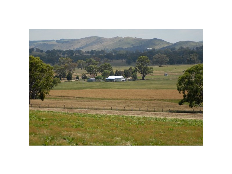 “The Poplars” 14 Wee Jasper Road, Wyangle NSW 2720