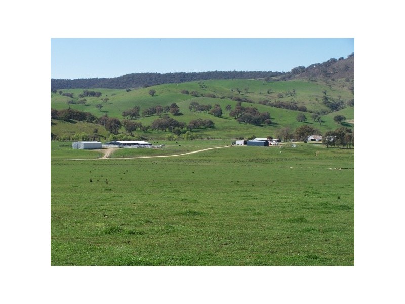 “The Poplars” 14 Wee Jasper Road, Wyangle NSW 2720