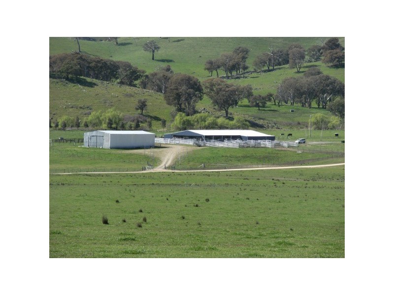 “The Poplars” 14 Wee Jasper Road, Wyangle NSW 2720