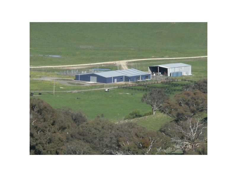 “The Poplars” 14 Wee Jasper Road, Wyangle NSW 2720