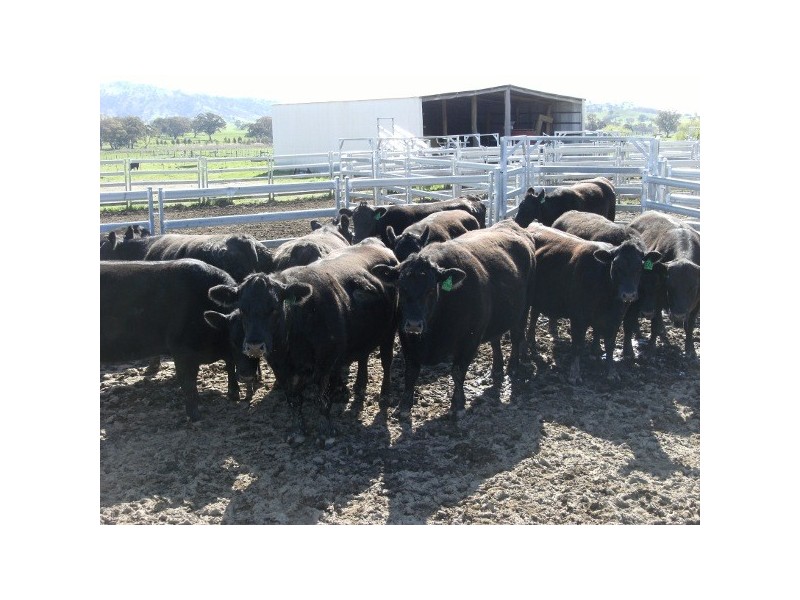 “The Poplars” 14 Wee Jasper Road, Wyangle NSW 2720