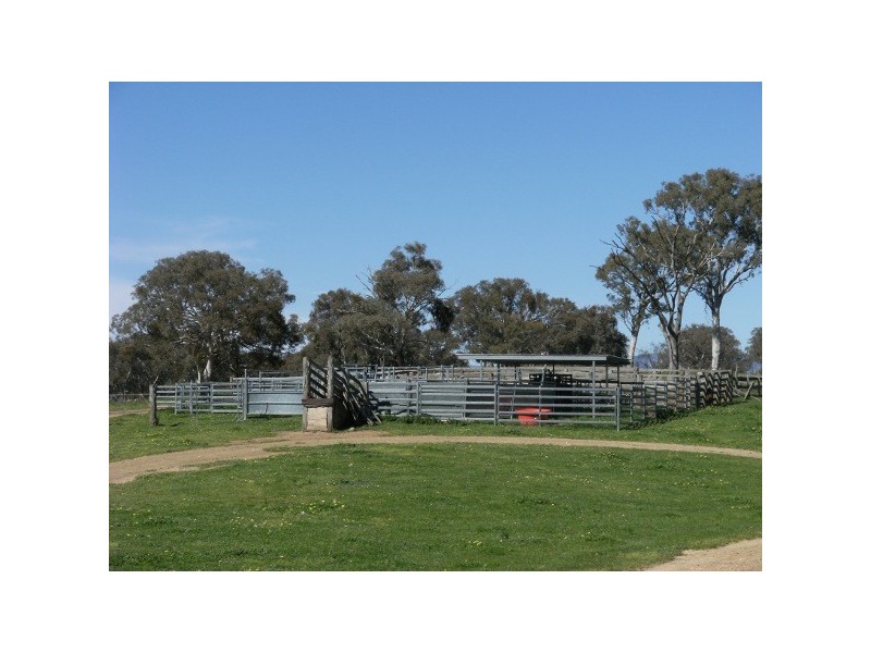 “The Poplars” 14 Wee Jasper Road, Wyangle NSW 2720