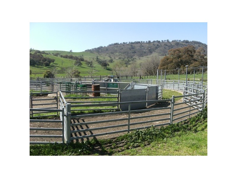 “The Poplars” 14 Wee Jasper Road, Wyangle NSW 2720