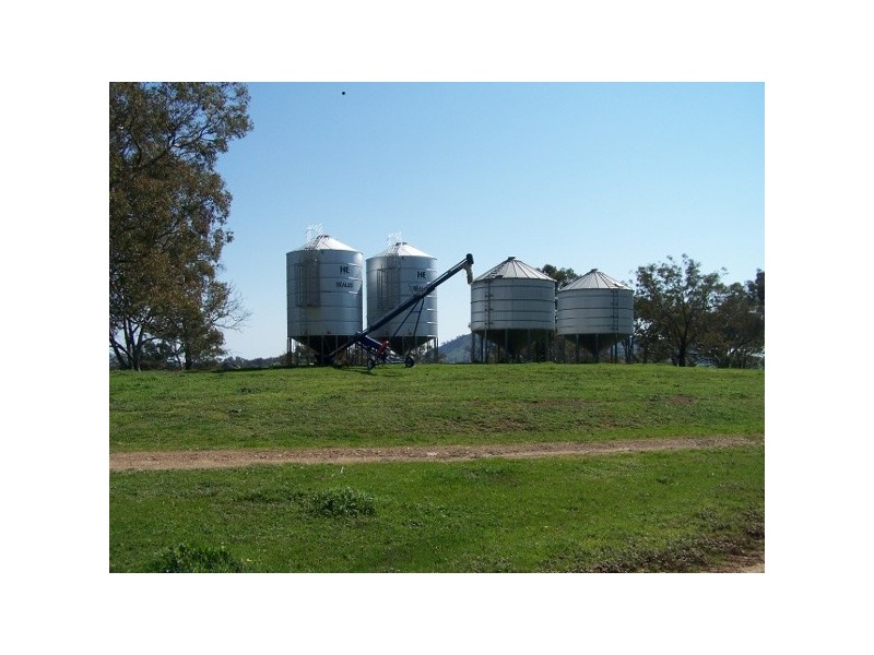 “The Poplars” 14 Wee Jasper Road, Wyangle NSW 2720