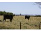 “Mona” 140 Little River Road, Braidwood NSW 2622