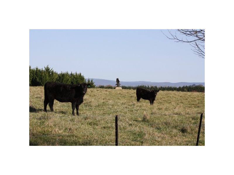 “Mona” 140 Little River Road, Braidwood NSW 2622
