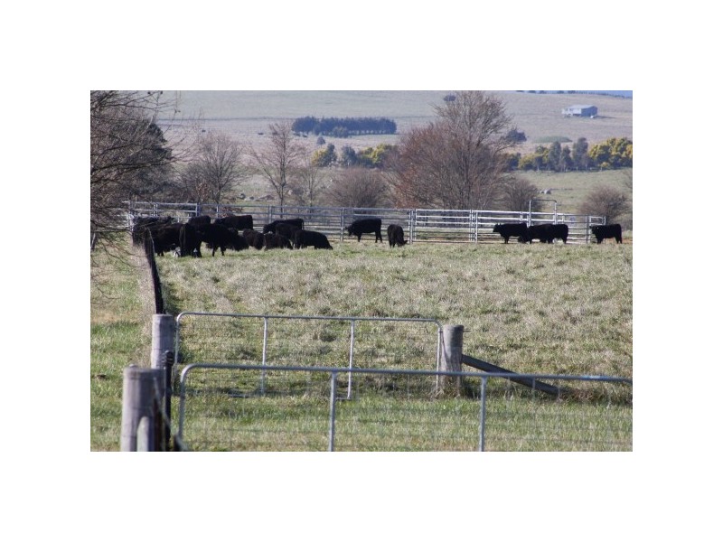 “Mona” 140 Little River Road, Braidwood NSW 2622
