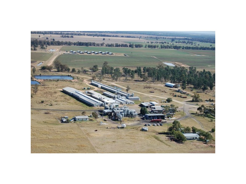 “Inglegreen” 821 Culgoora Road, Narrabri NSW 2390
