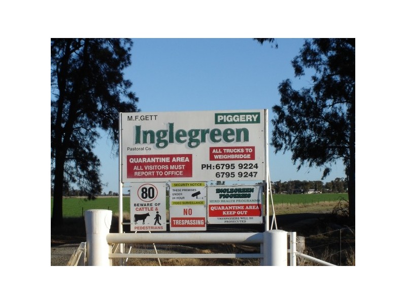 “Inglegreen” 821 Culgoora Road, Narrabri NSW 2390