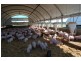 “Inglegreen” 821 Culgoora Road, Narrabri NSW 2390