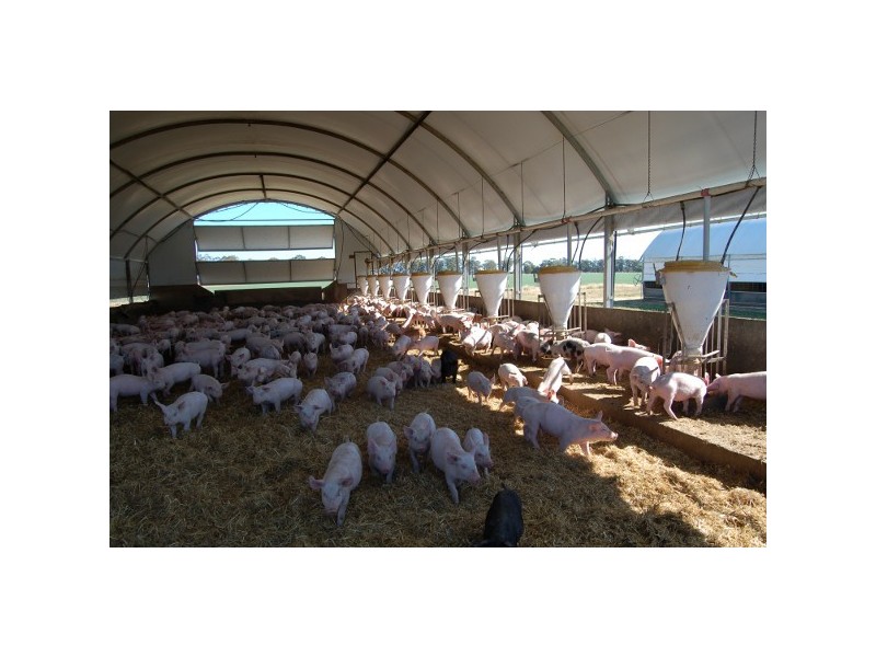 “Inglegreen” 821 Culgoora Road, Narrabri NSW 2390