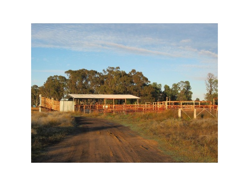 “Inglegreen” 821 Culgoora Road, Narrabri NSW 2390