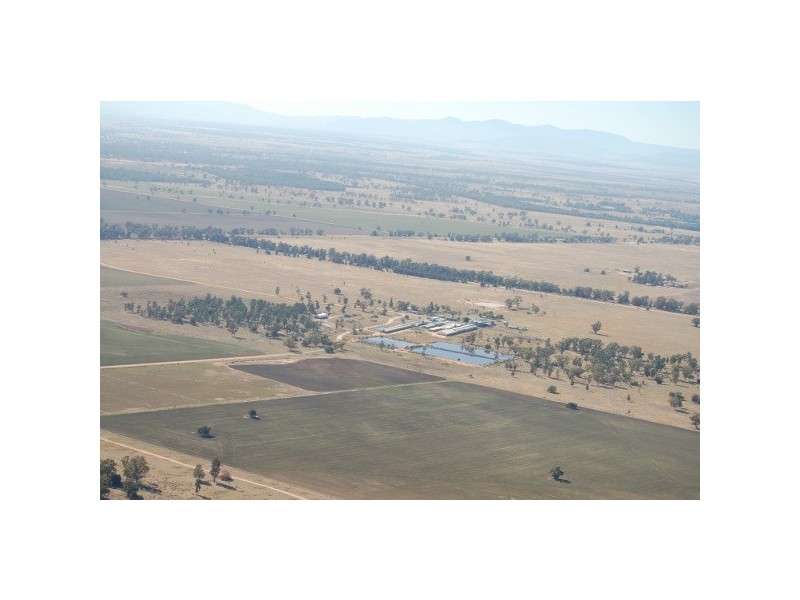 “Inglegreen” 821 Culgoora Road, Narrabri NSW 2390