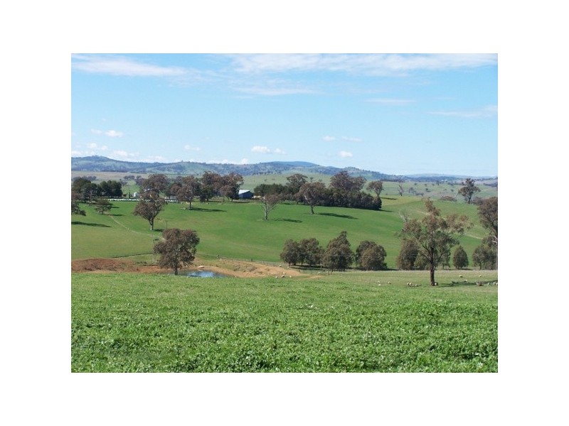 “Weemalla” Four Mile Creek Road, Panuara NSW 2800