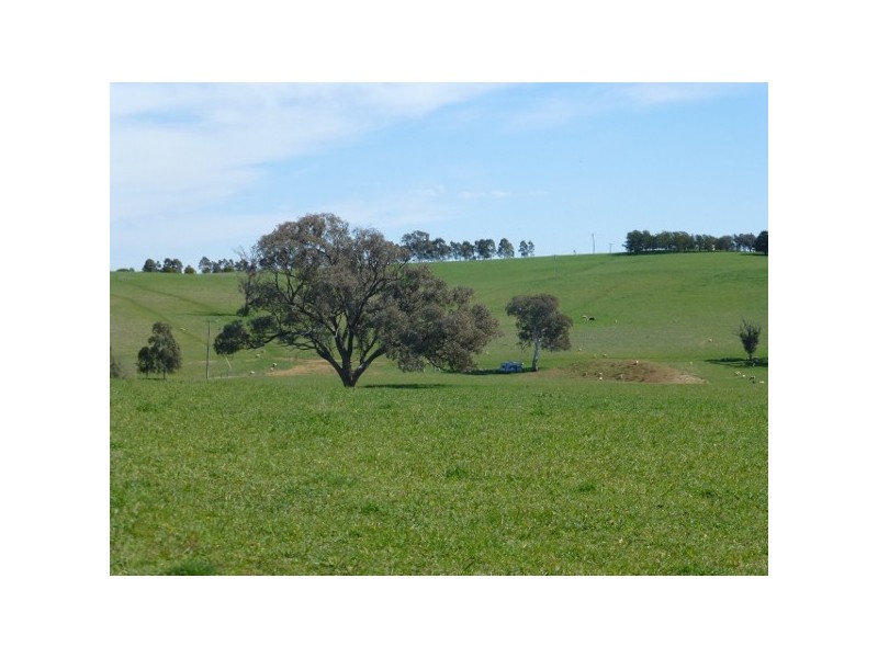 “Weemalla” Four Mile Creek Road, Panuara NSW 2800