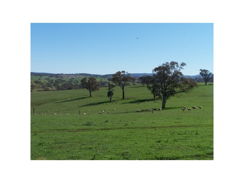 “Weemalla” Four Mile Creek Road, Panuara NSW 2800