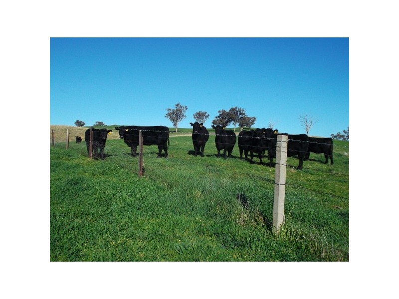 “Weemalla” Four Mile Creek Road, Panuara NSW 2800