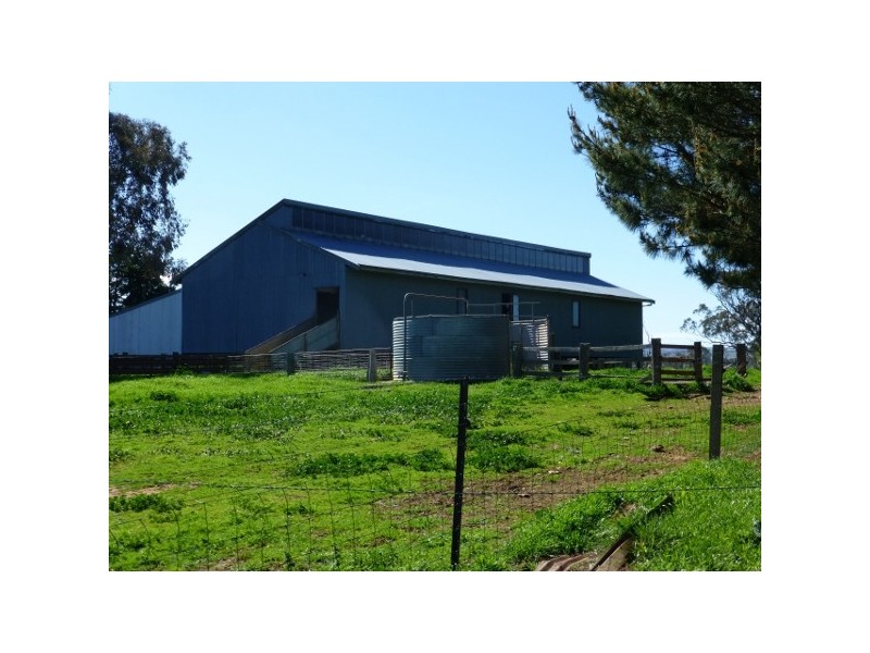 “Weemalla” Four Mile Creek Road, Panuara NSW 2800