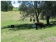 “Long Paddock” 1 Gannons Point Road, Bodalla NSW 2545