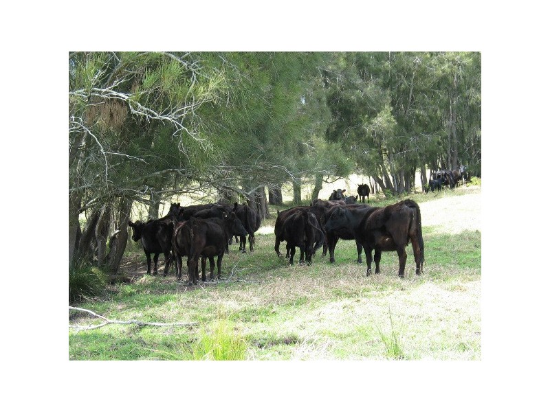 “Long Paddock” 1 Gannons Point Road, Bodalla NSW 2545