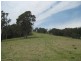 “Long Paddock” 1 Gannons Point Road, Bodalla NSW 2545