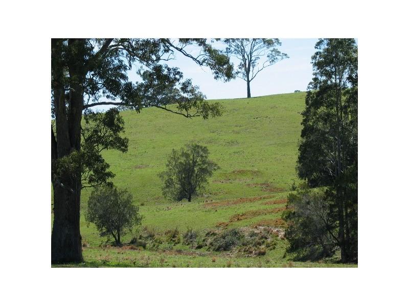 “Long Paddock” 1 Gannons Point Road, Bodalla NSW 2545