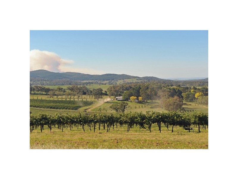 “Mayfield South” 954 Icely Road, Orange NSW 2800