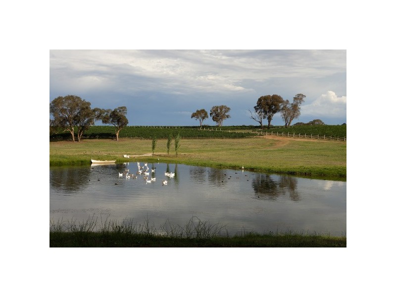 “Mayfield South” 954 Icely Road, Orange NSW 2800