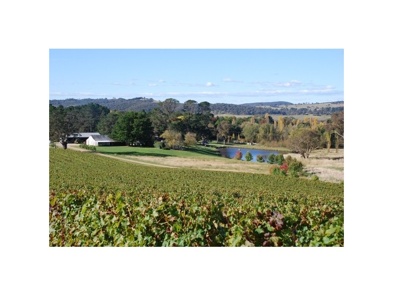 “Mayfield South” 954 Icely Road, Orange NSW 2800