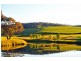 “Mayfield South” 954 Icely Road, Orange NSW 2800