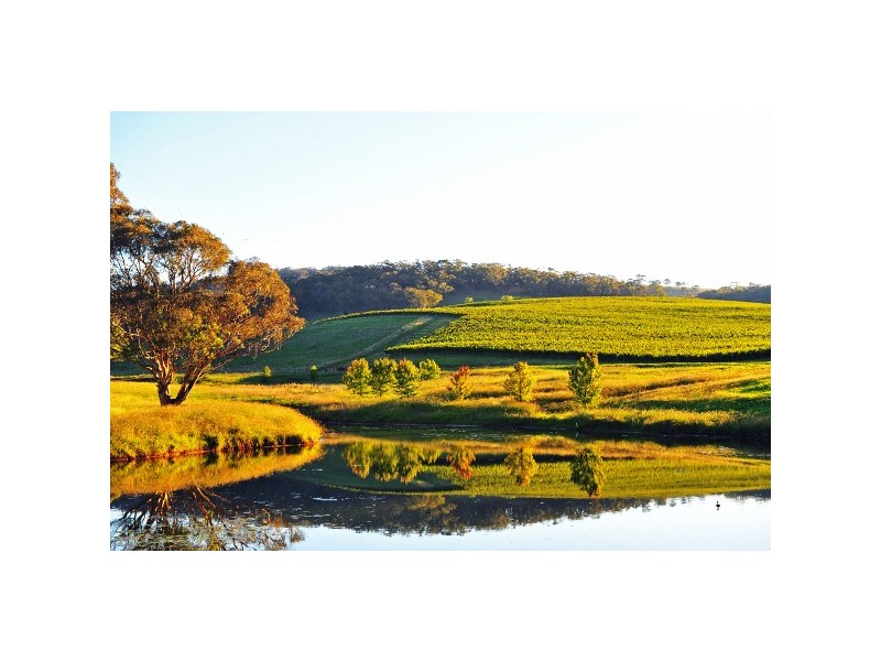 “Mayfield South” 954 Icely Road, Orange NSW 2800