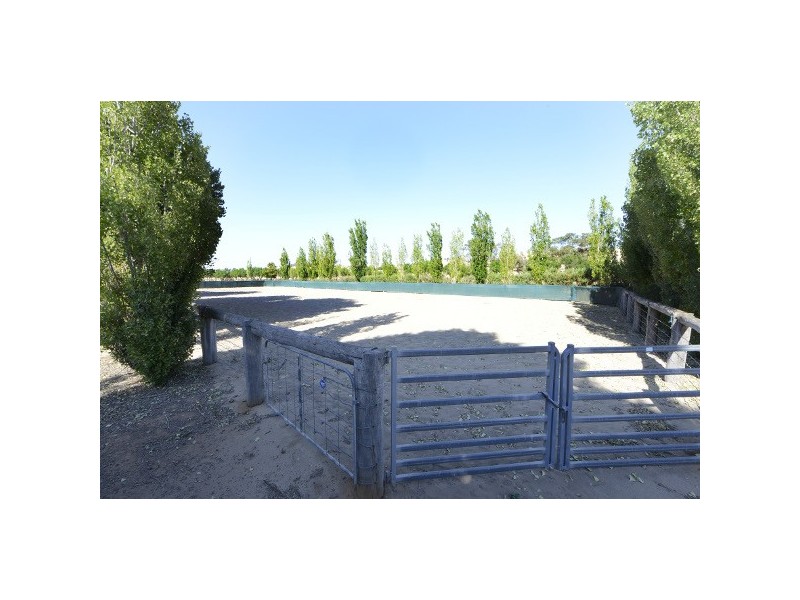 “Bongalong” 612 Finlays Lane, Muttama NSW 2722