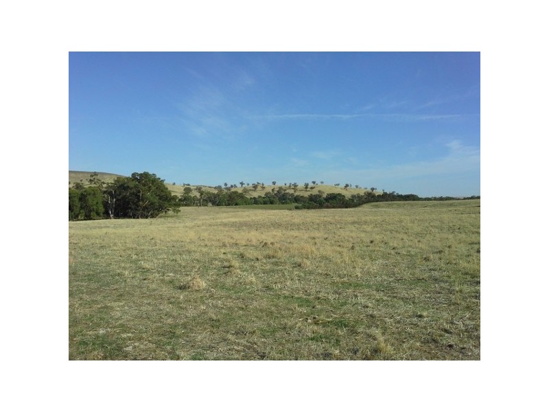 “Bongalong” 612 Finlays Lane, Muttama NSW 2722