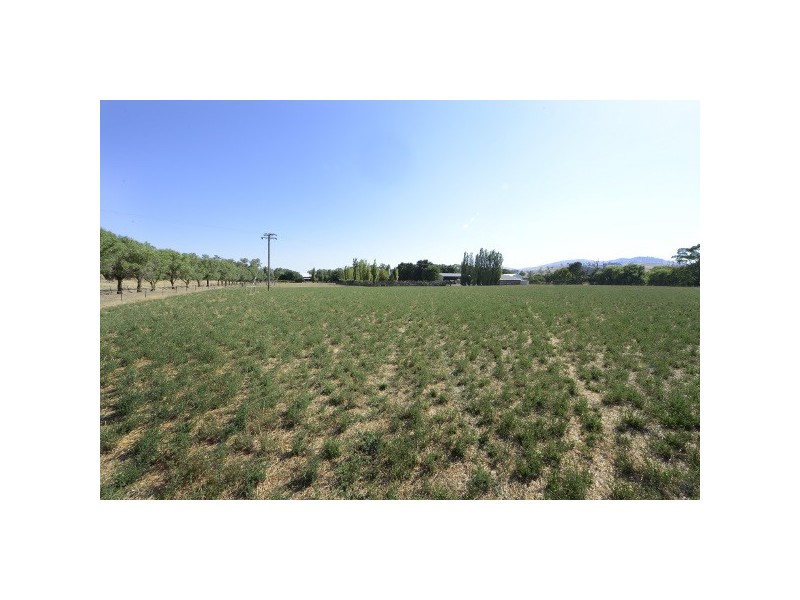 “Bongalong” 612 Finlays Lane, Muttama NSW 2722