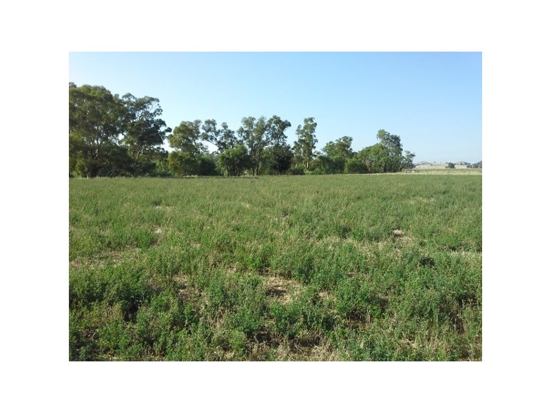 “Bongalong” 612 Finlays Lane, Muttama NSW 2722