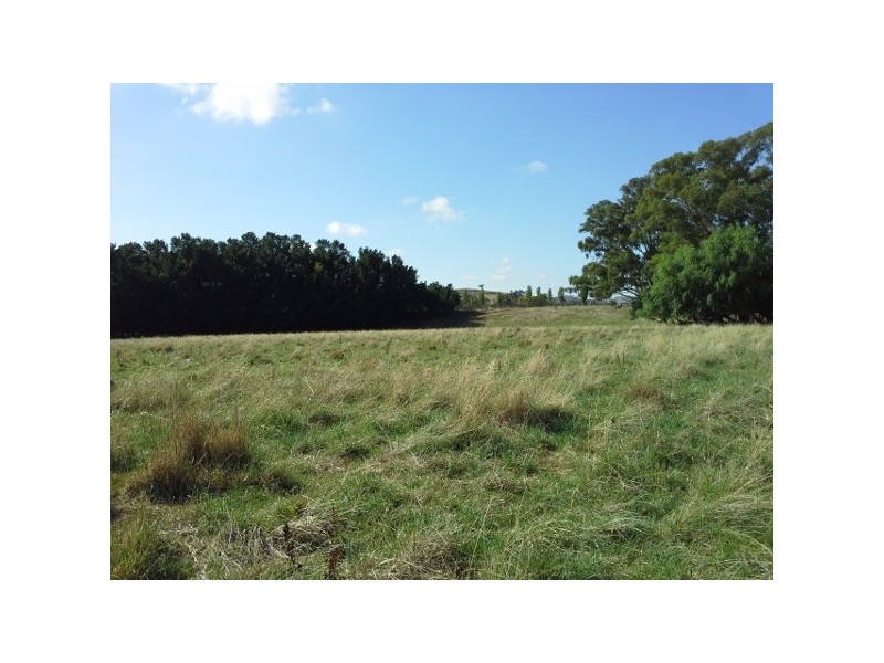 “Bongalong” 612 Finlays Lane, Muttama NSW 2722