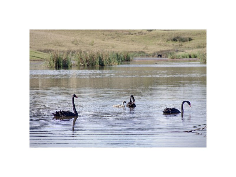 “Tinnenburra” 1451 Mulgoa Road, Mulgoa NSW 2745