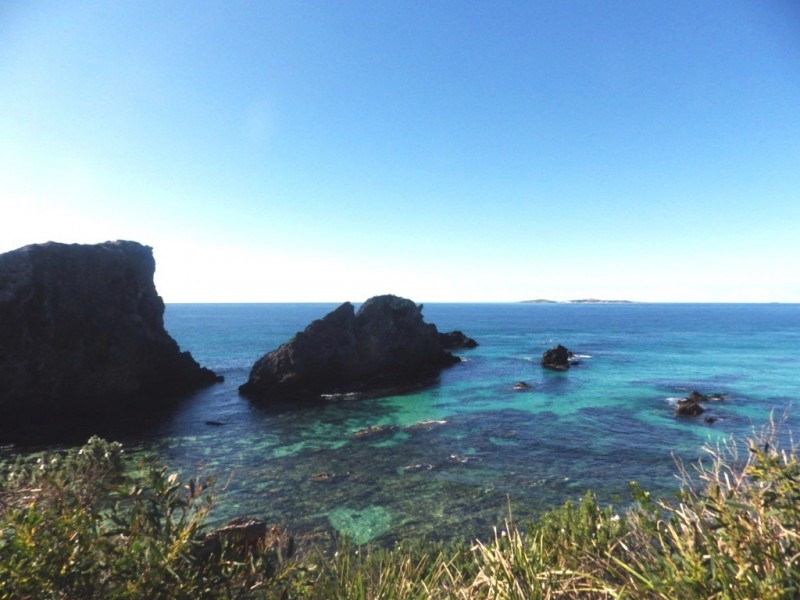 “Glasshouse Rocks Estate” 208 Glasshouse Rocks Road, Narooma NSW 2546