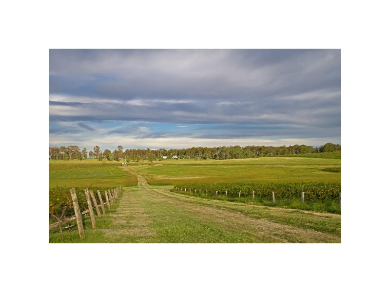 “Hillside” 64 Marrowbone Road, Pokolbin NSW 2320