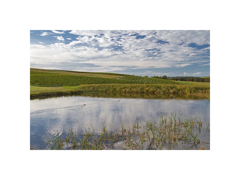 “Hillside” 64 Marrowbone Road, Pokolbin NSW 2320