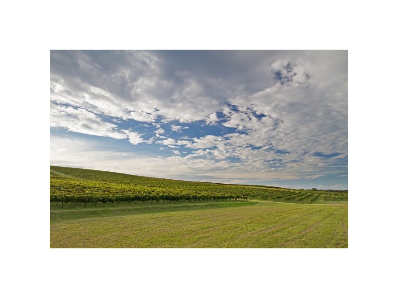 “Hillside” 64 Marrowbone Road, Pokolbin NSW 2320