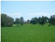 “Jerula” 226 Darby Falls Road, Cowra NSW 2794
