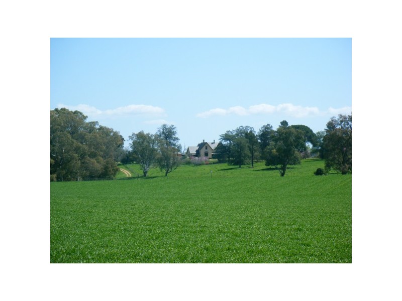 “Jerula” 226 Darby Falls Road, Cowra NSW 2794