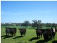 “Jerula” 226 Darby Falls Road, Cowra NSW 2794