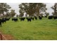 “Jerula” 226 Darby Falls Road, Cowra NSW 2794