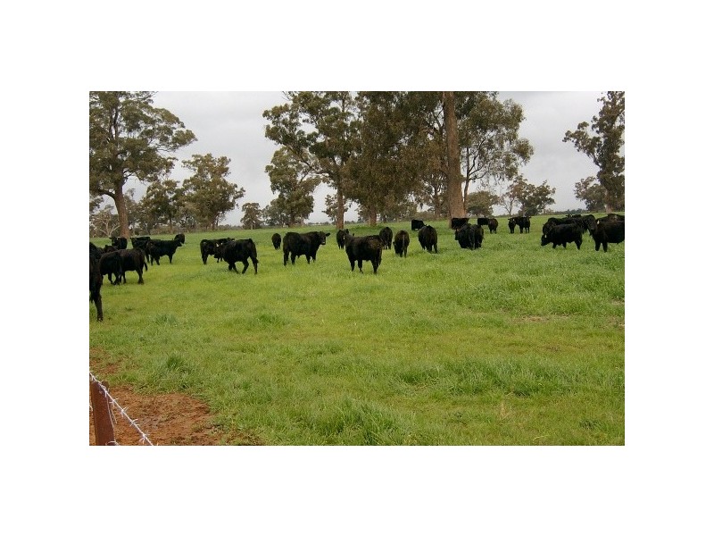 “Jerula” 226 Darby Falls Road, Cowra NSW 2794