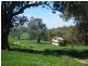 “Jerula” 226 Darby Falls Road, Cowra NSW 2794