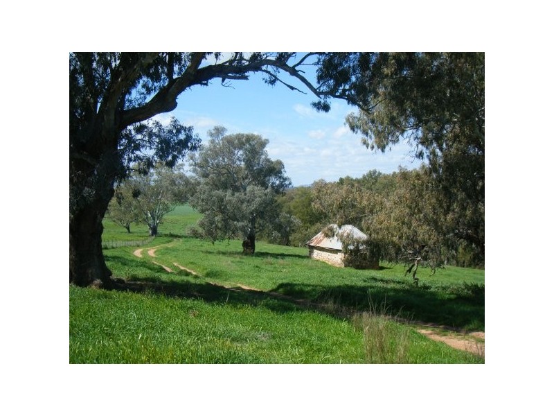 “Jerula” 226 Darby Falls Road, Cowra NSW 2794