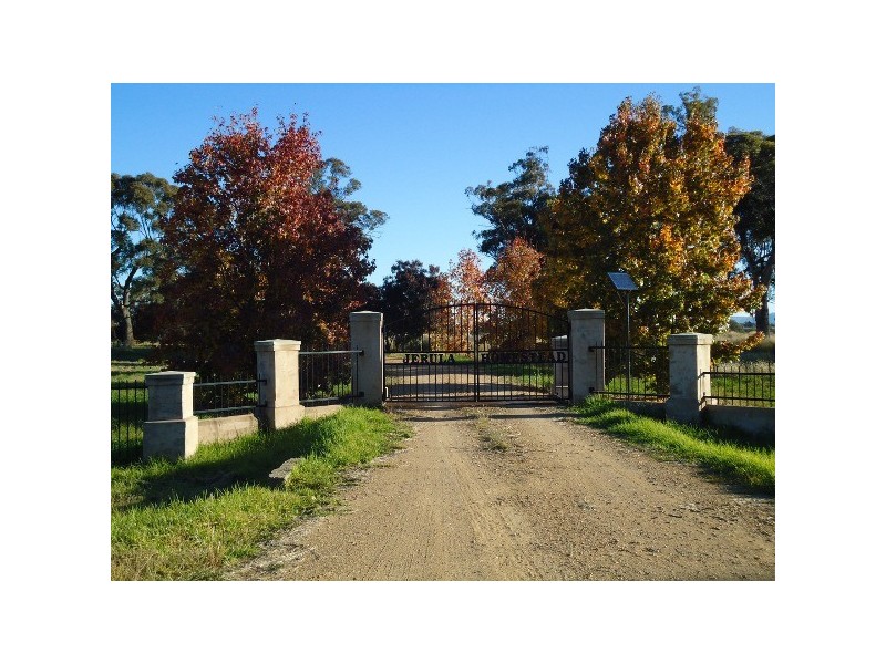“Jerula” 226 Darby Falls Road, Cowra NSW 2794